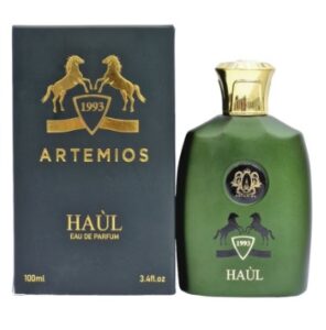 Artemios 1993 Haul eau de parfume for men 100ml