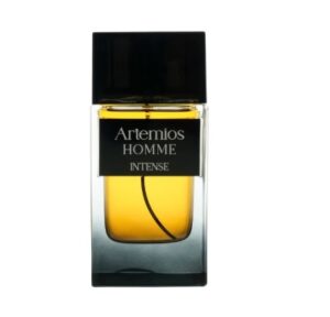 HOMME INTENSE PARFUME 100ML BY ARTEMIOS