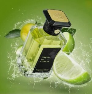 fresh as citrus eau de perfume 100ml by fragrance world