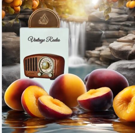 Vintage Radio EAU DE PERFUME EDP Unisex 100ml BY LATTAFA
