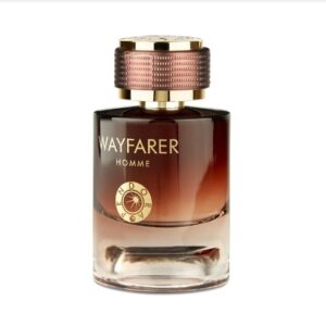 wayfare for him eau de perfume for men 100ml by pandora