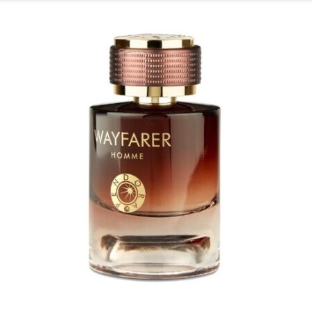 wayfare for him eau de perfume for men 100ml by pandora