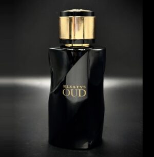 Elsatys oud edp 100ml by reyane tradition