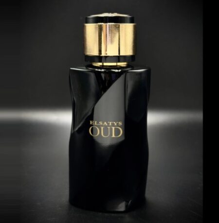 Elsatys oud edp 100ml by reyane tradition